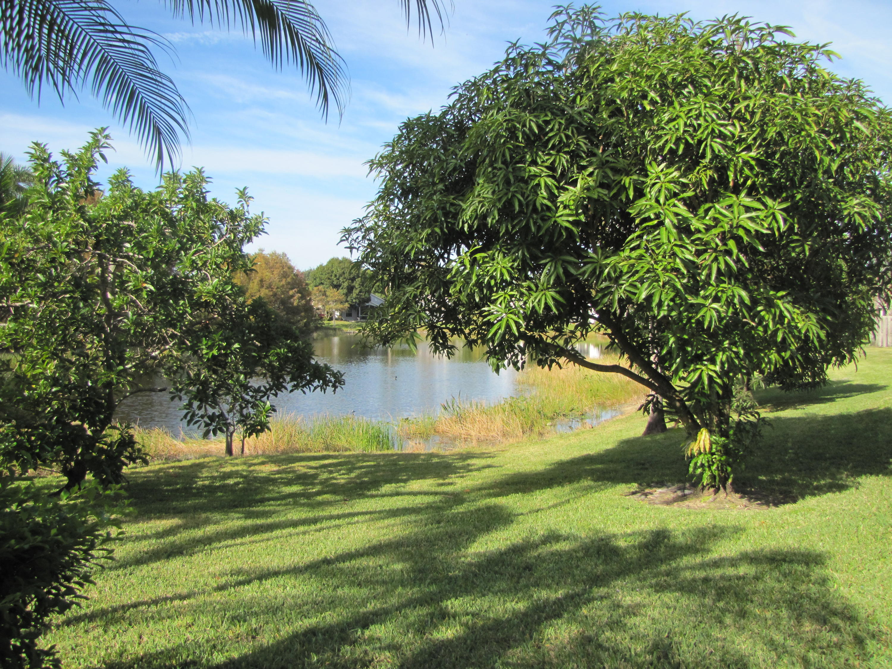 1803 Barnstable Road Wellington, FL 33414 - Photo 40 of 44 IMG_4918