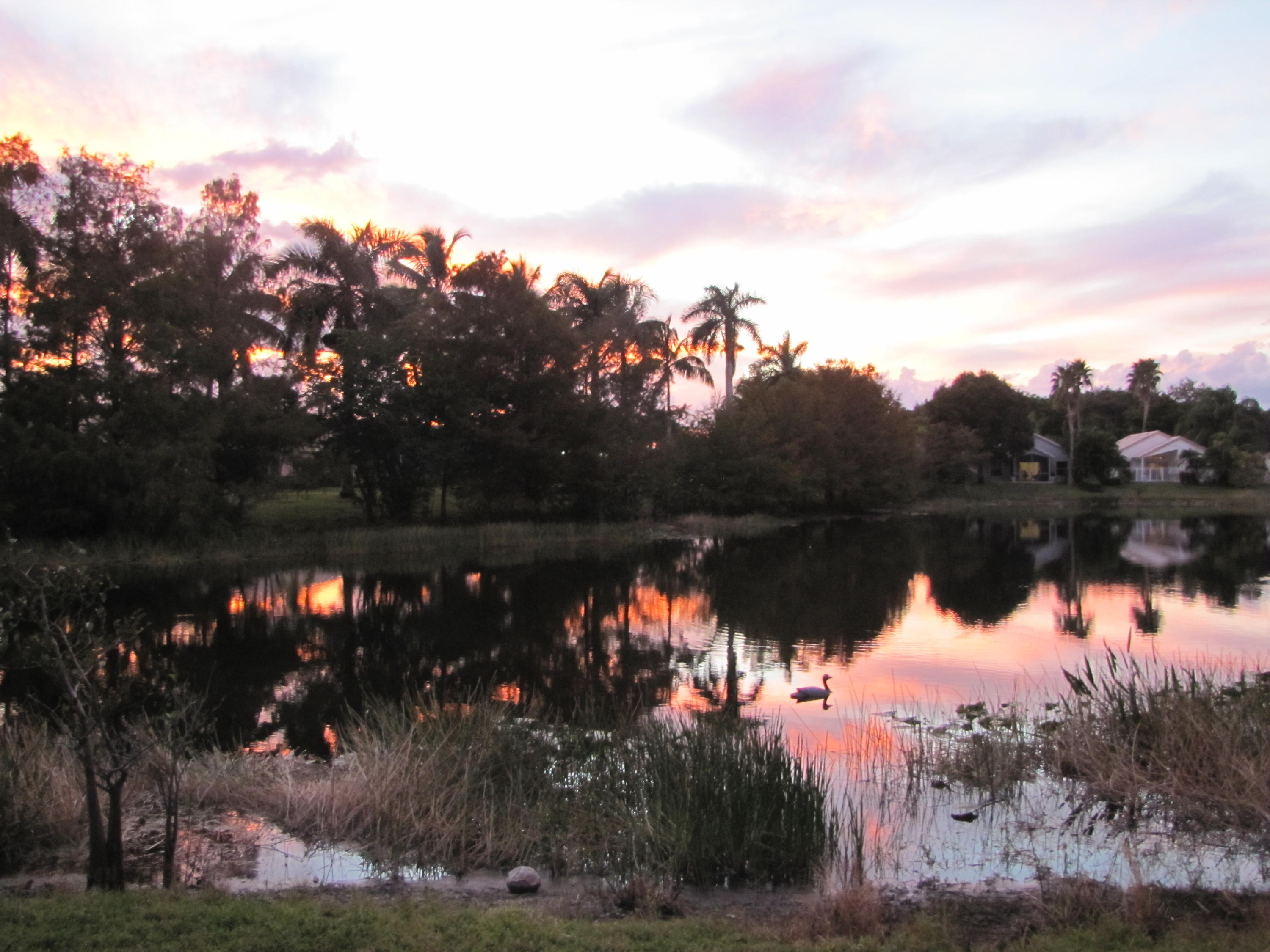 1803 Barnstable Road Wellington, FL 33414 - Photo 43 of 44 IMG_4927