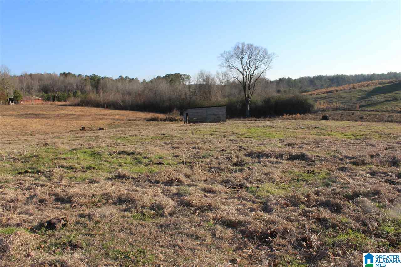 3601 Brookside Road Brilliant, AL 35548 - Photo 32 of 33