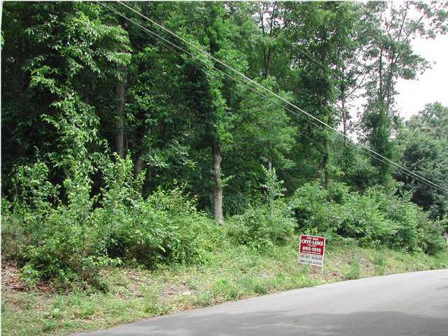 0 Maple Way, Unit LT 69 Ringgold, GA 30736 - Photo 1 of 4 Primary Photo