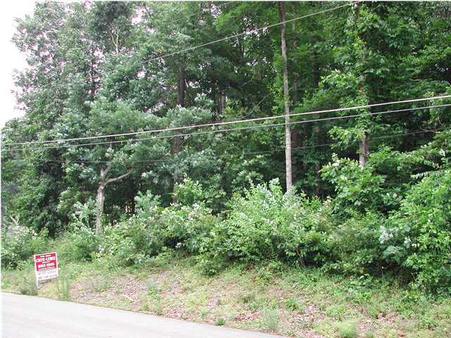 0 Maple Way, Unit LT 69 Ringgold, GA 30736 - Photo 4 of 4 Additional Photo