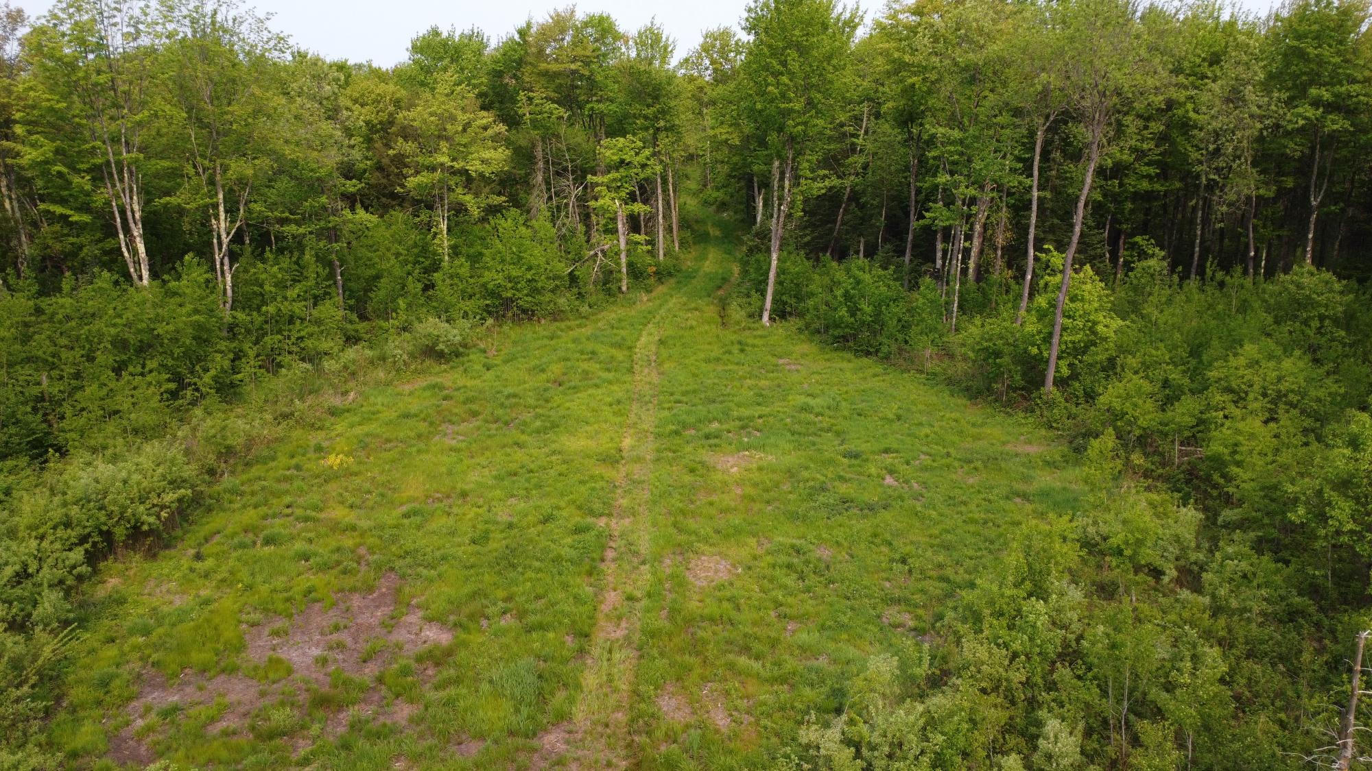 0 Cth H Gleason, WI 54435 - Photo 11 of 27 Gallery Image 11