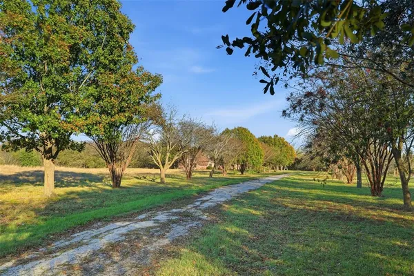 a view of a golf course with a trees