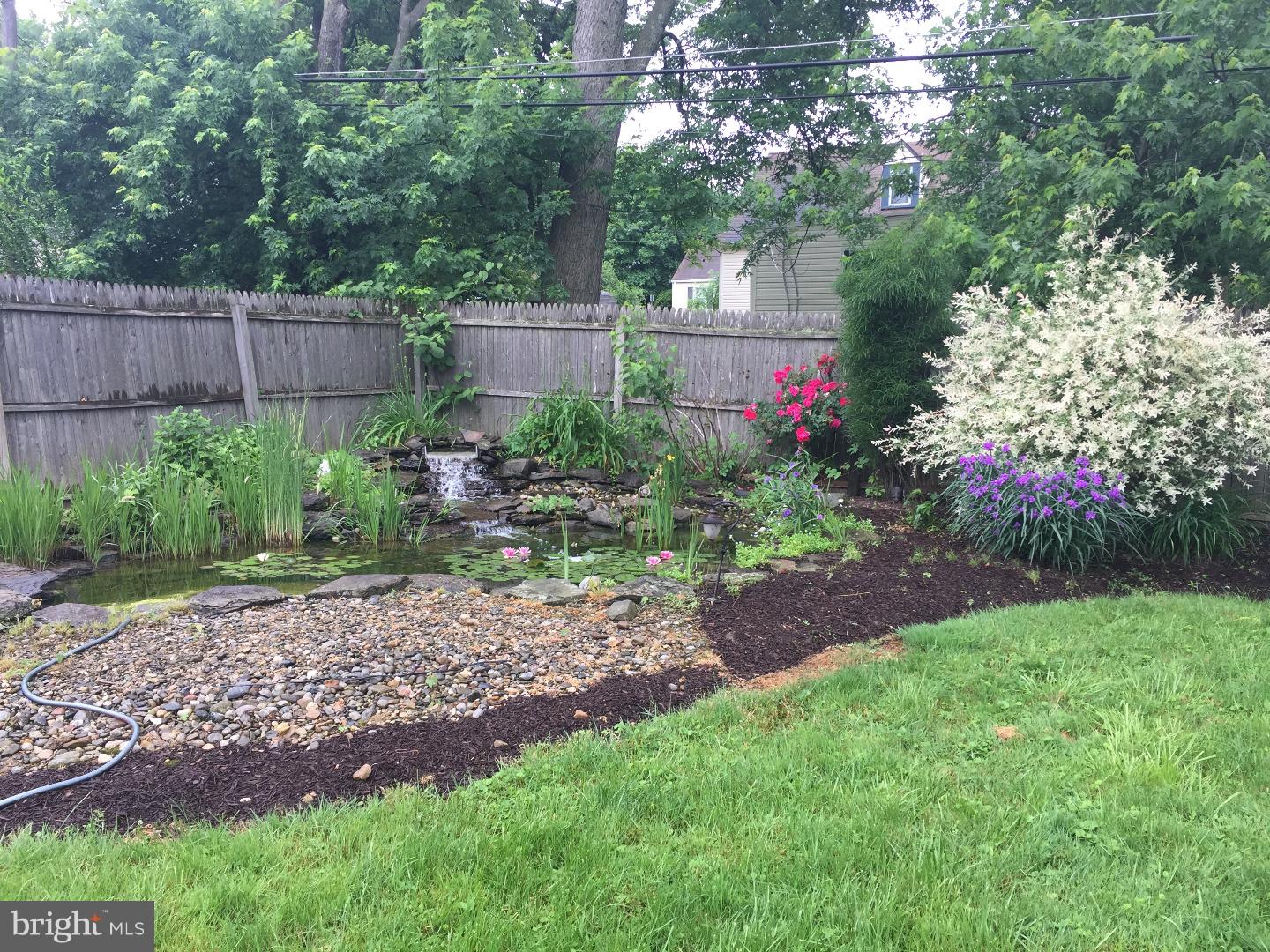 2318 Edwards Road Abington, PA 19001 - Photo 15 of 25 Back Yard