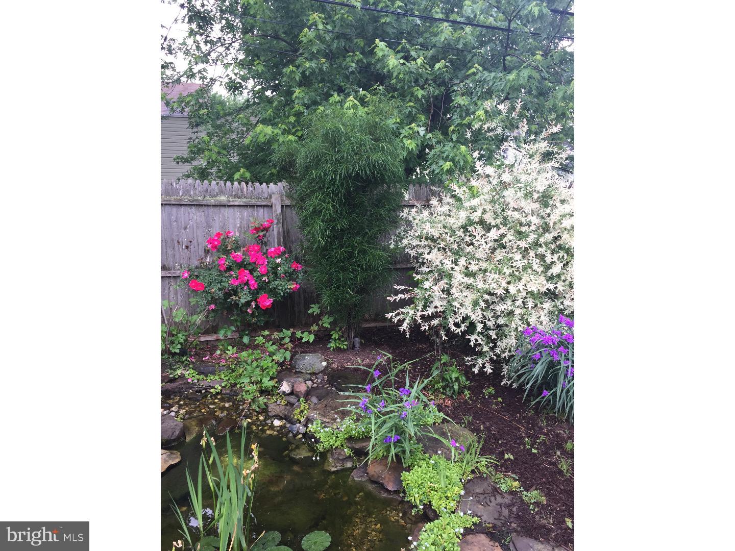 2318 Edwards Road Abington, PA 19001 - Photo 16 of 25 Back Yard