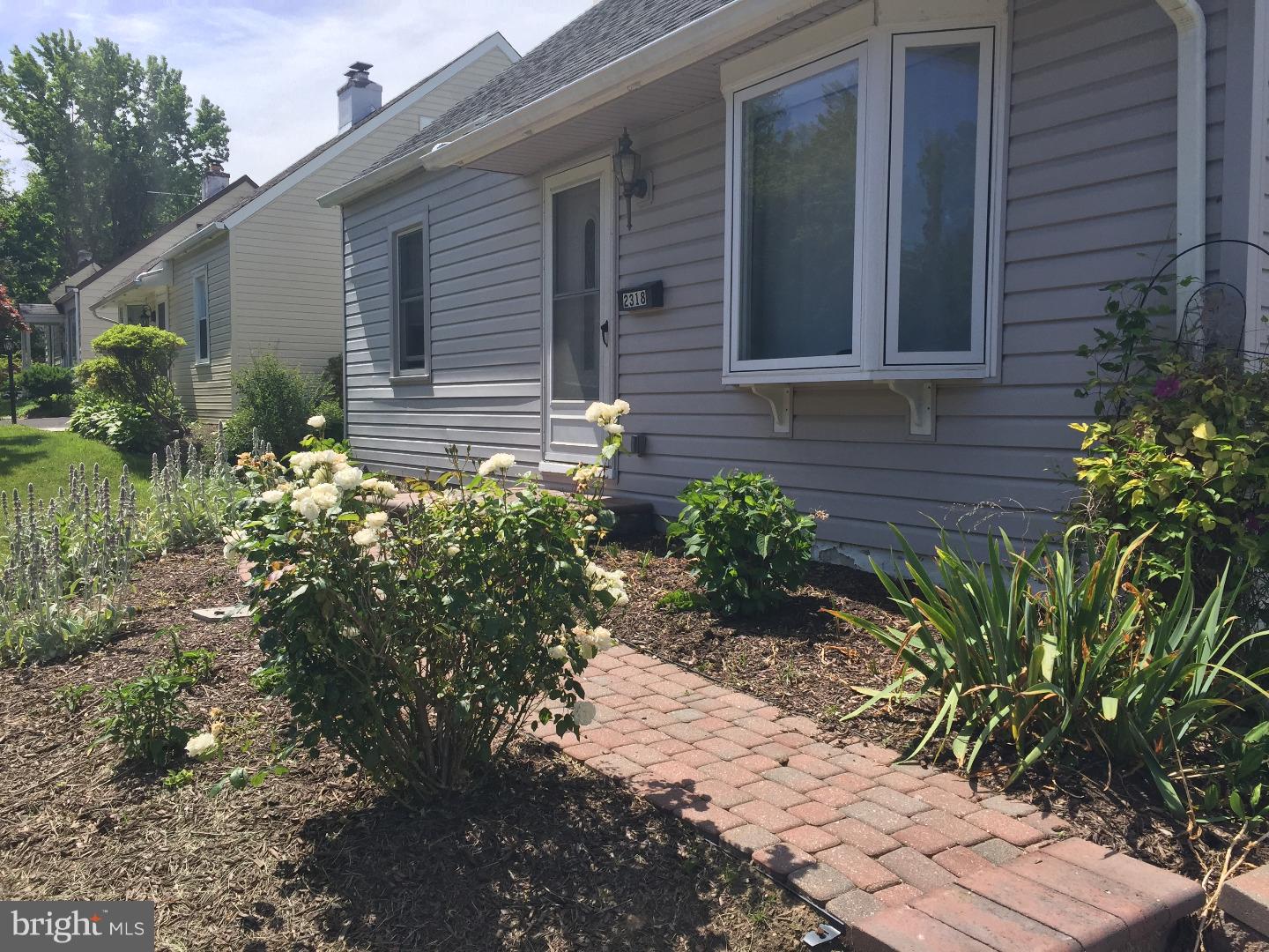 Front Yard