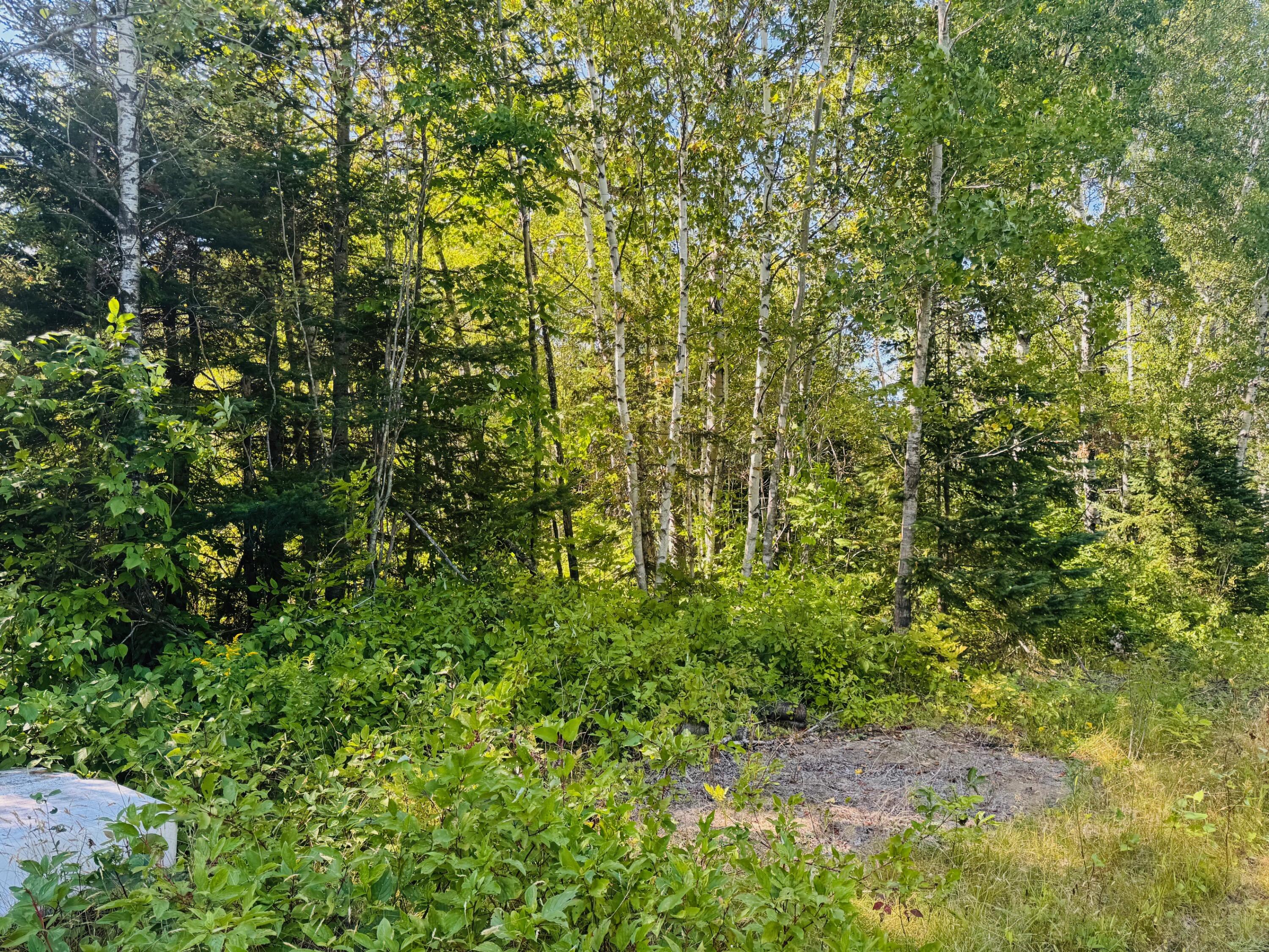 19-b & 19c Waters Road Patten, ME 04765 - Photo 11 of 14 IMG_1710