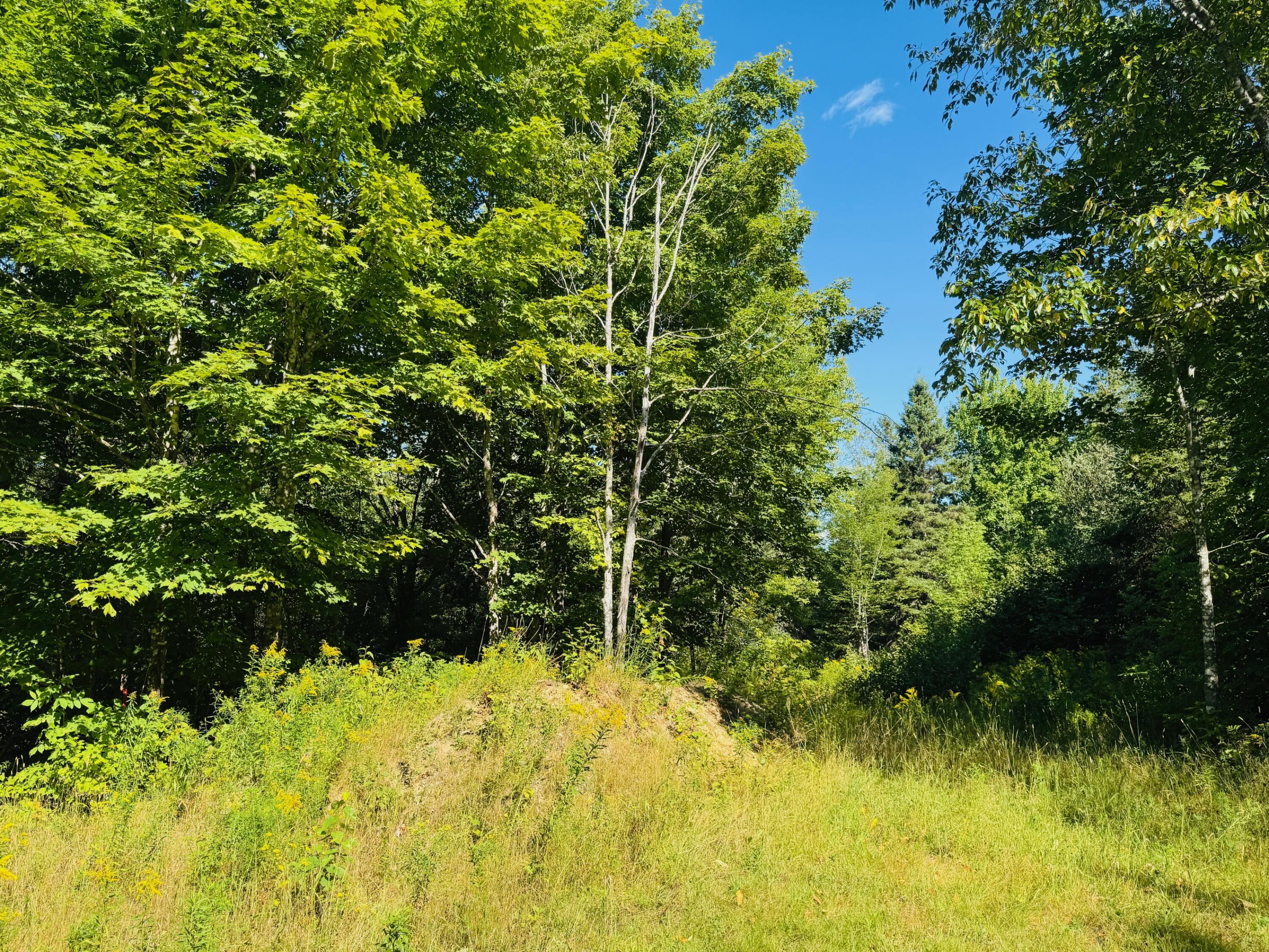 19-b & 19c Waters Road Patten, ME 04765 - Photo 12 of 14 IMG_1711