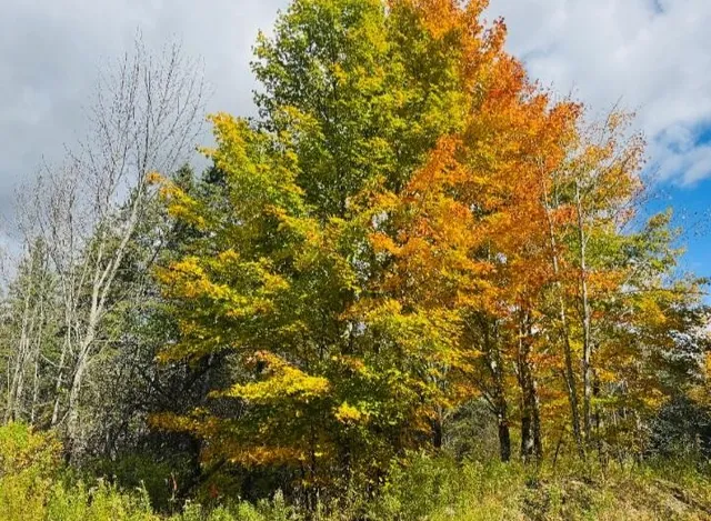 $29,900 | 19-b & 19c Waters Road, Patten, ME 04765