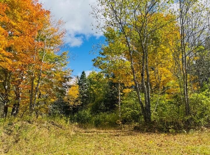 19-b & 19c Waters Road Patten, ME 04765 - Photo 3 of 14 Screenshot_20251001-162349_Gmail