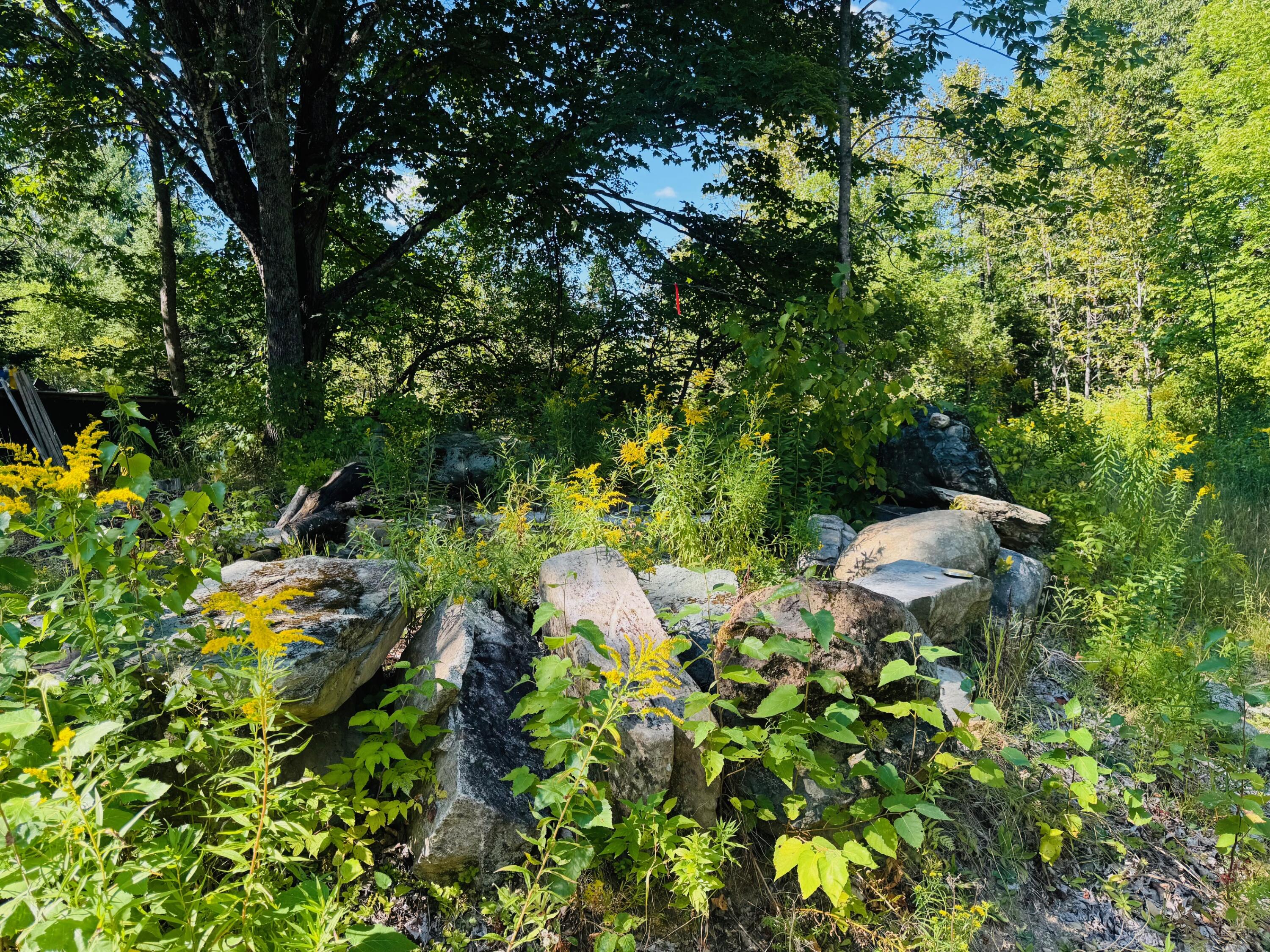 19-b & 19c Waters Road Patten, ME 04765 - Photo 6 of 14 IMG_1712