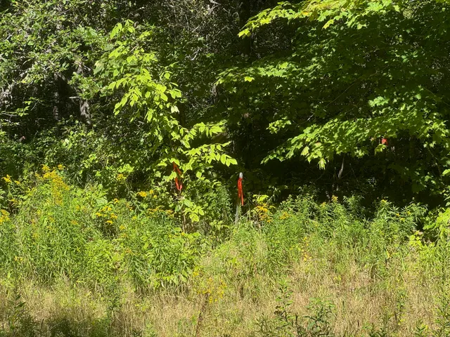 $29,900 | 19-b & 19c Waters Road, Patten, ME 04765