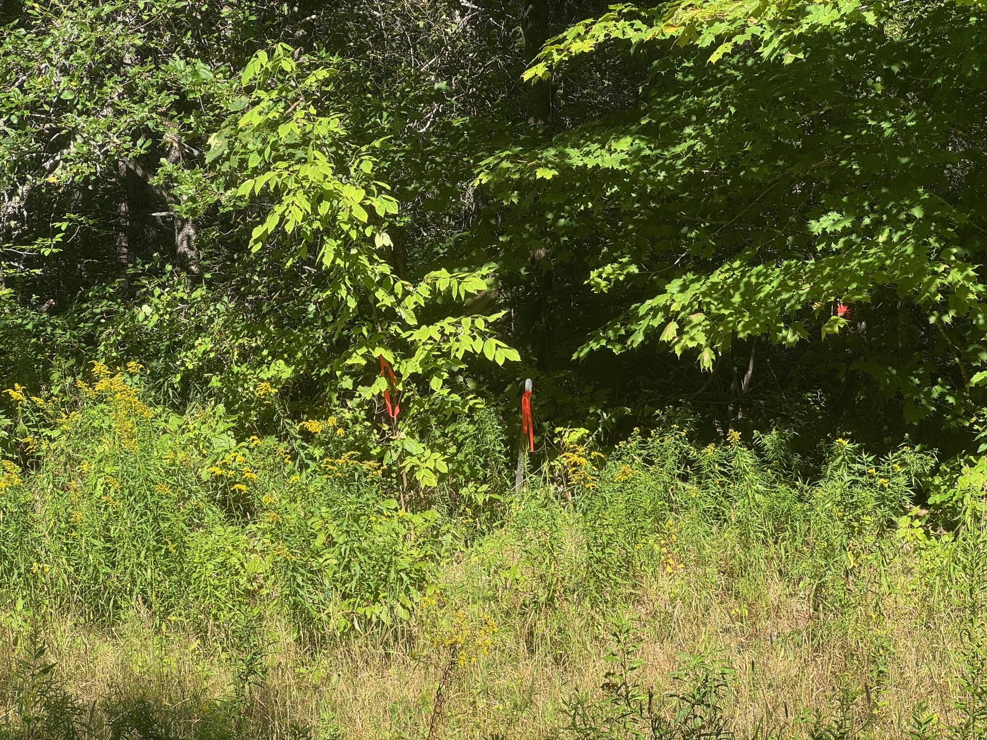 19-b & 19c Waters Road Patten, ME 04765 - Photo 7 of 14 IMG_1715