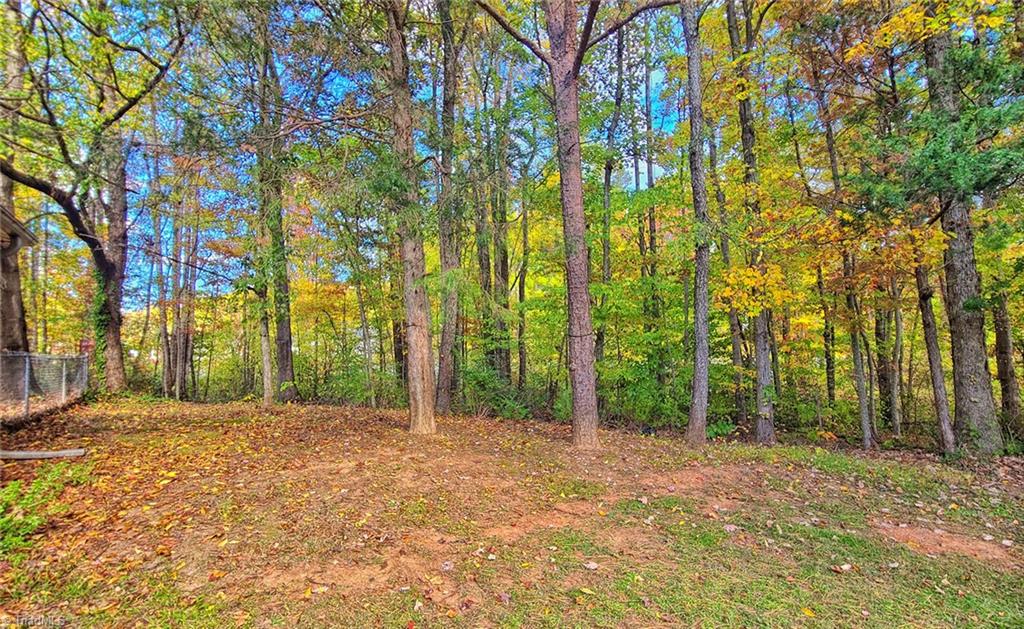 9251 Weigh Station Road Rural Hall, NC 27045 - Photo 29 of 37 Back Right view