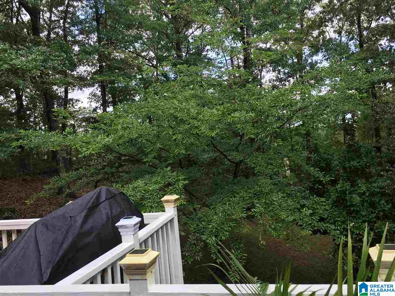 217 Forest Hills Circle Alabaster, AL 35007 - Photo 33 of 34