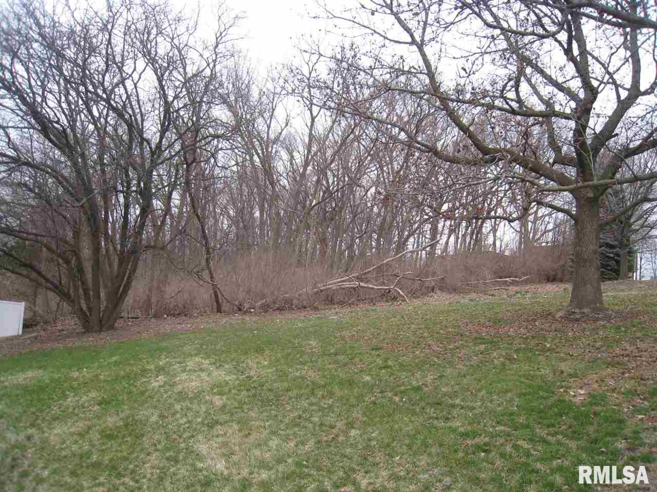 3705 35th Street Moline, IL 61265 - Photo 1 of 6 a view of backyard with large trees
