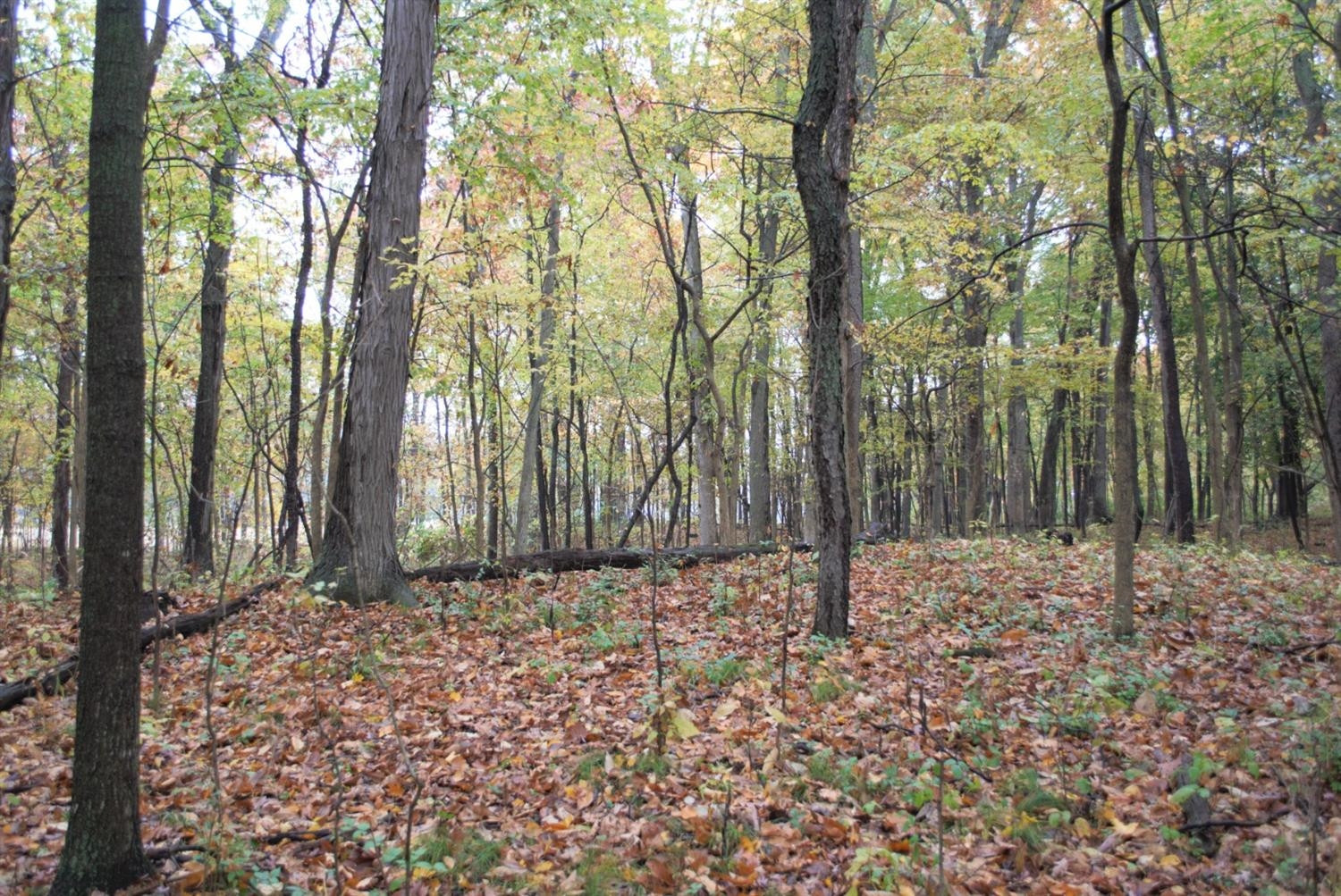 0 Dancer Parcel B Road Dexter, MI 48130 - Photo 7 of 16 Photo 7