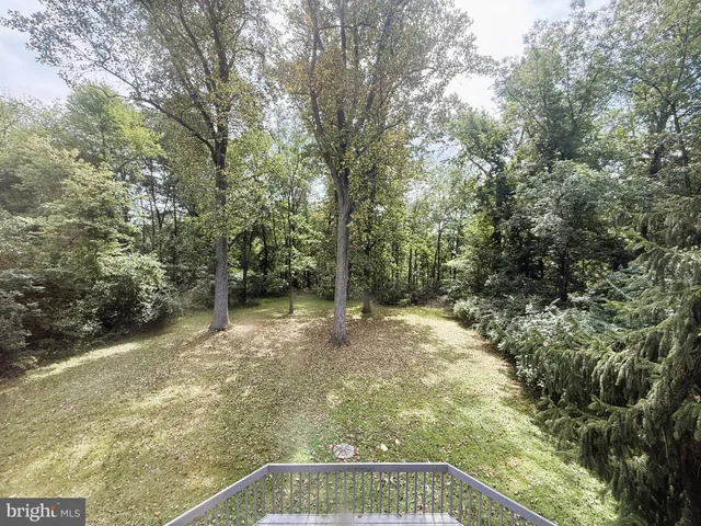 a view of a yard with trees