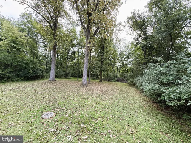 a view of backyard with green space