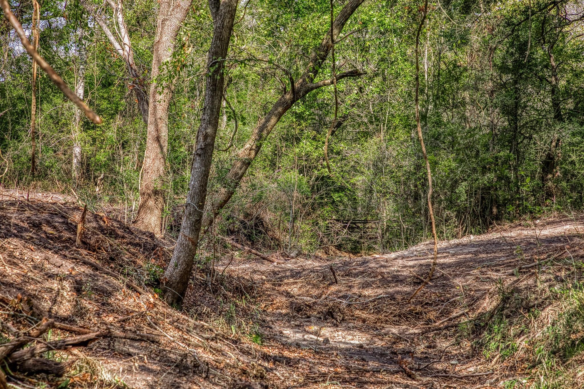 Tbd Sun Oil Road Brenham, TX 77833 - Photo 29 of 37 a backyard of a house with lots of trees