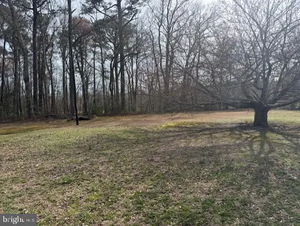 a view of outdoor space with deck and trees