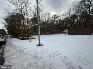 a view of road and trees