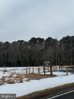 37052 Double Bridges Road Frankford, DE 19945 - Photo 4 of 6 a view of a yard with a snow on the road