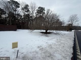 37052 Double Bridges Road Frankford, DE 19945 - Photo 5 of 6 a view of fire pit with large trees