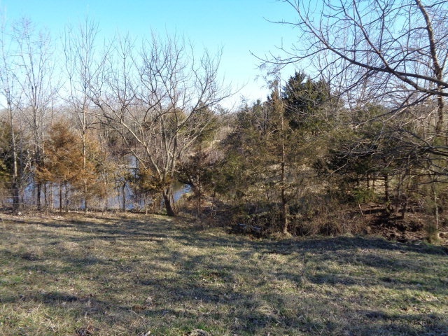 Whippoorwill Road California, MO 65018 - Photo 6 of 10