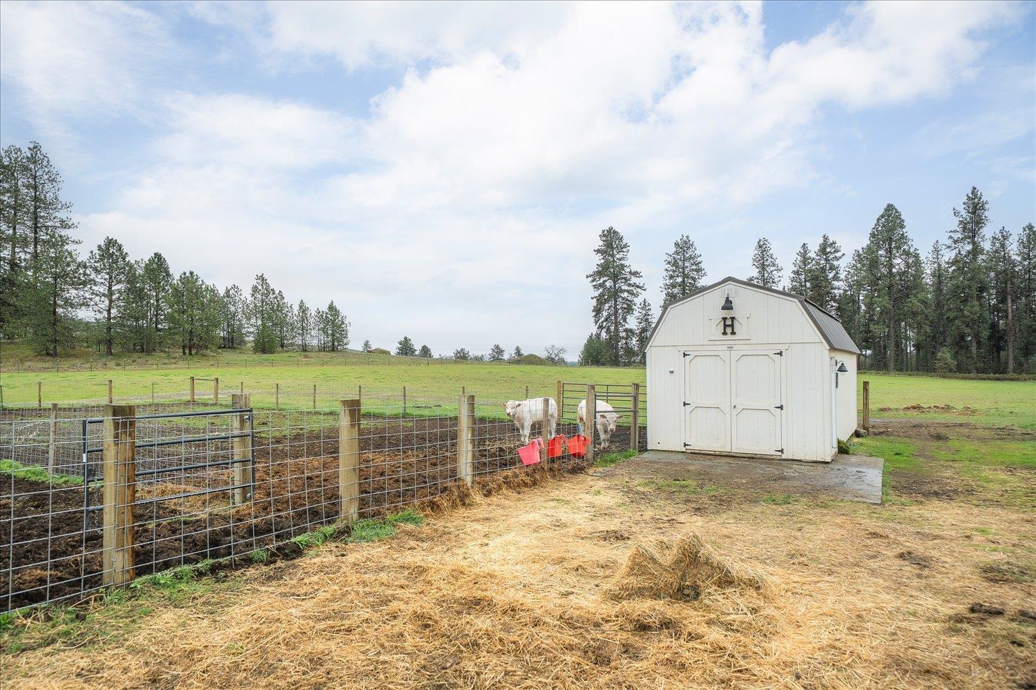 10201 West Jensen Road Cheney, WA 99004 - Photo 10 of 50