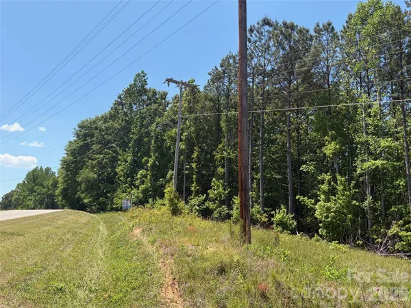 a view of a yard with trees
