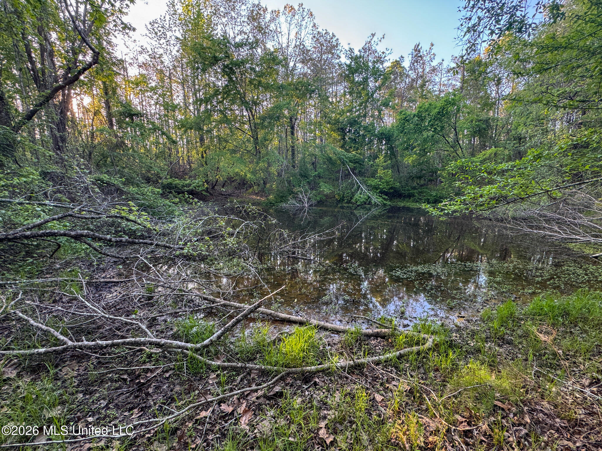 Dees Rd Road Enid, MS 38927 - Photo 53 of 57 Tallahatchie 44 Newman (Crowden) Wide-53