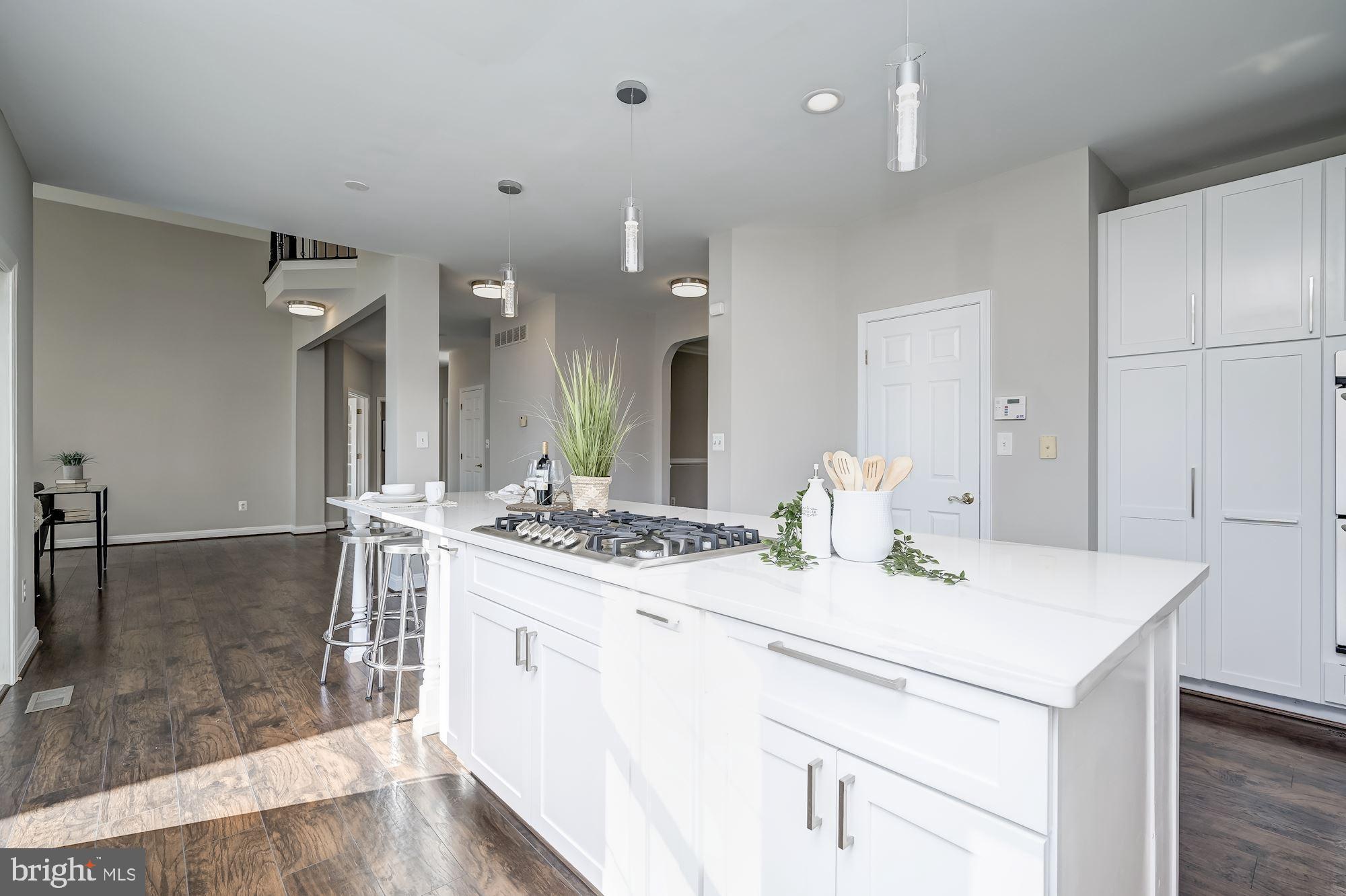 13720 Highland Road Clarksville, MD 21029 - Photo 18 of 61 Gourmet Kitchen