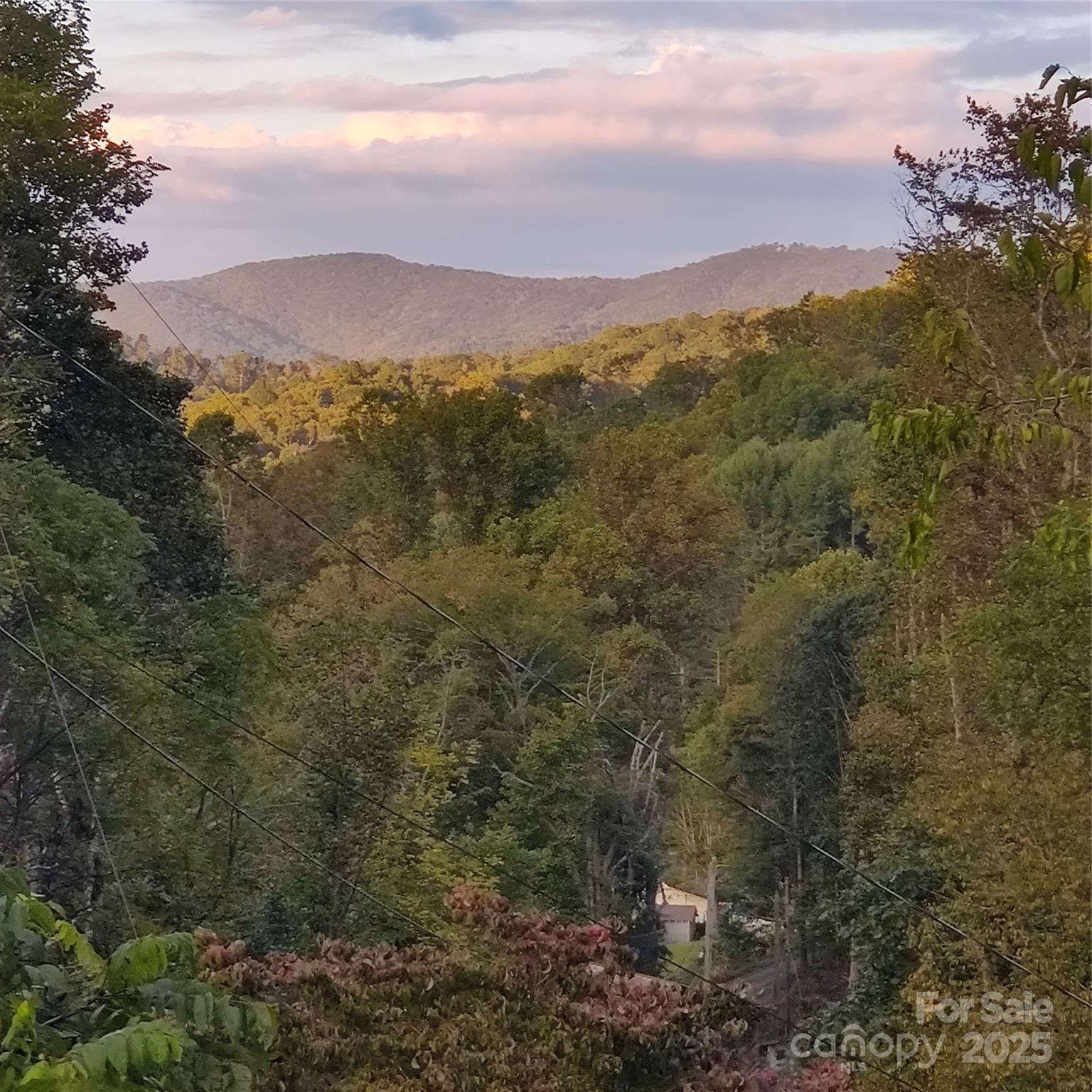 607 Fred Sparks Road Bakersville, NC 28705 - Photo 2 of 41 a view of a city with mountains in the background