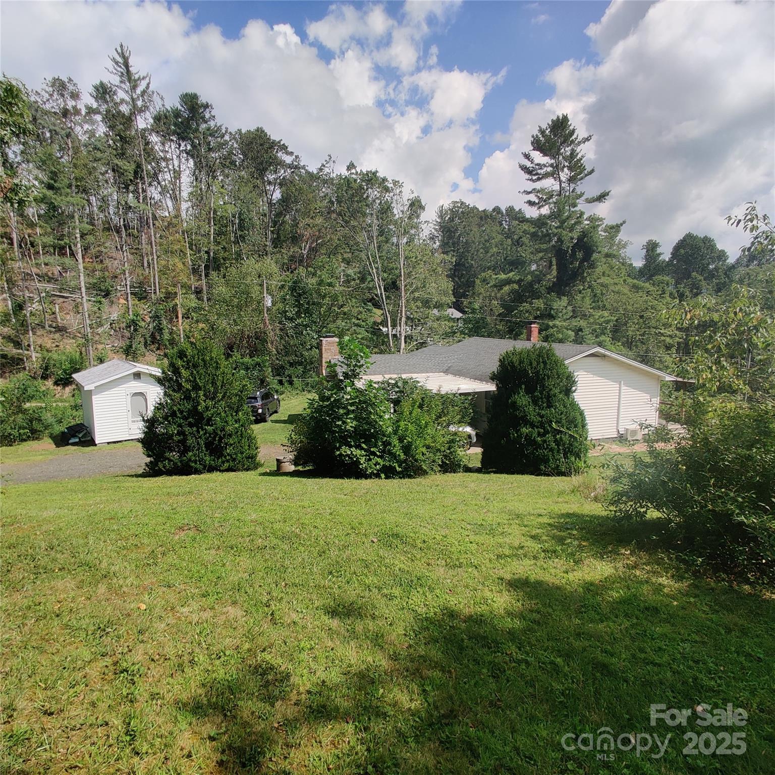 607 Fred Sparks Road Bakersville, NC 28705 - Photo 37 of 41 a view of a garden with potted plants and large trees
