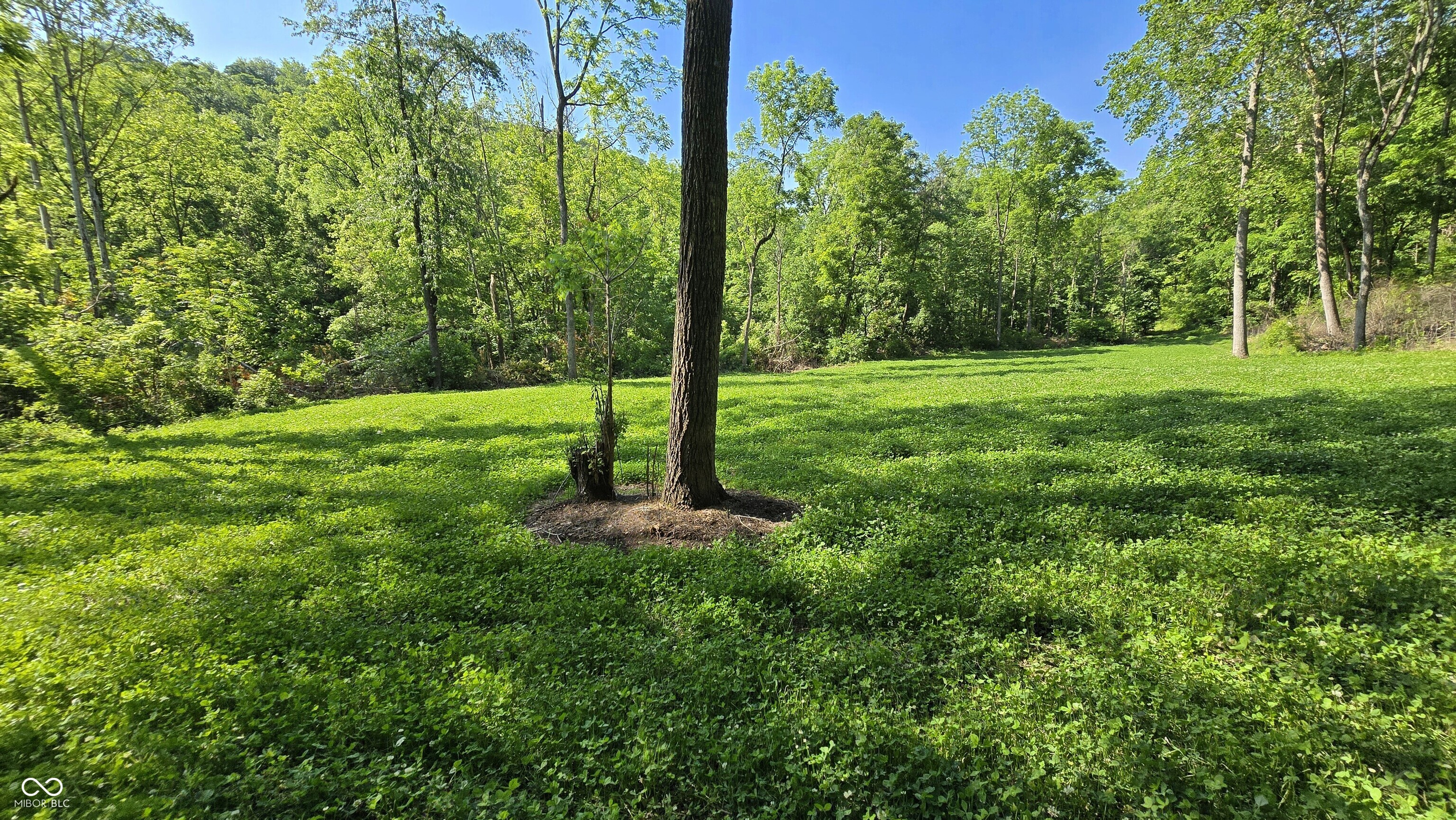 2933 Saluda Hl Road Hanover, IN 47243 - Photo 15 of 122