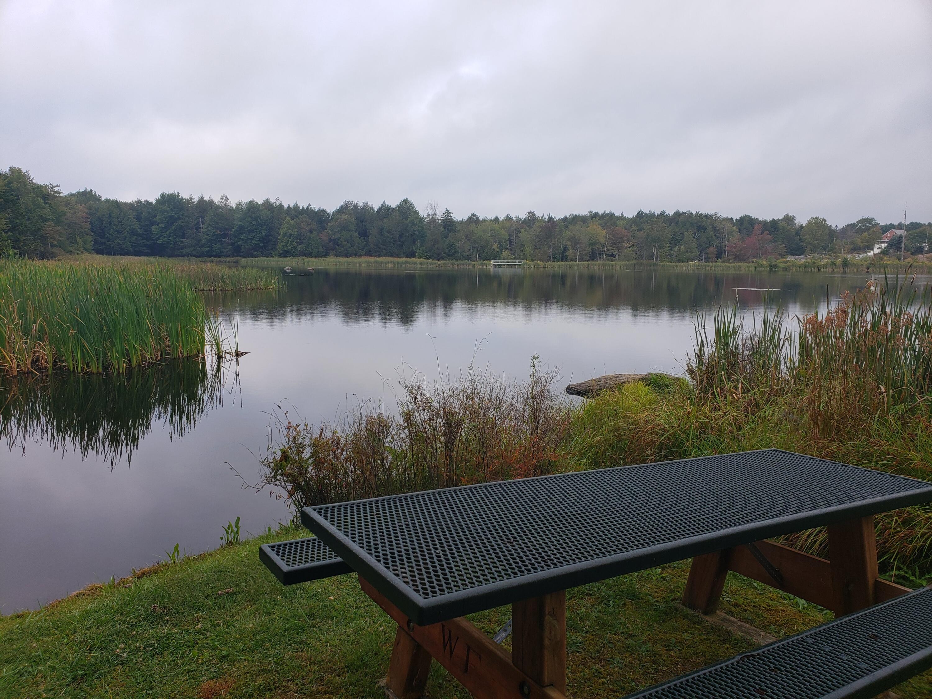 906 Wadi Road West Pocono Lake, PA 18347 - Photo 12 of 20 20190910_080251