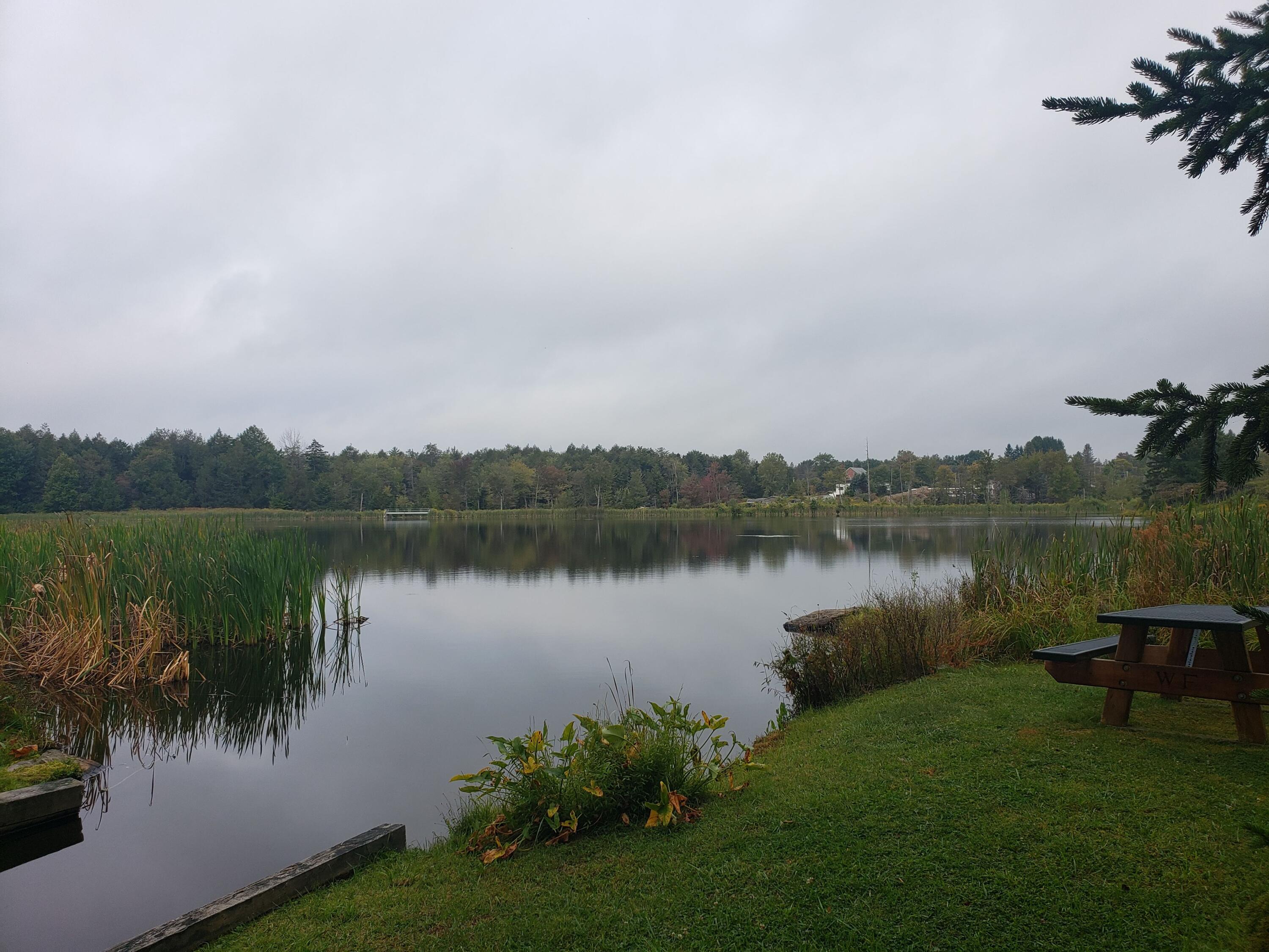 906 Wadi Road West Pocono Lake, PA 18347 - Photo 9 of 20 20190910_080235