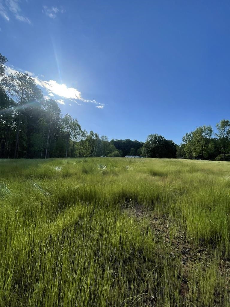 Lot 4 Our Road Oxford, NC 27565 - Photo 26 of 32 Photo 26