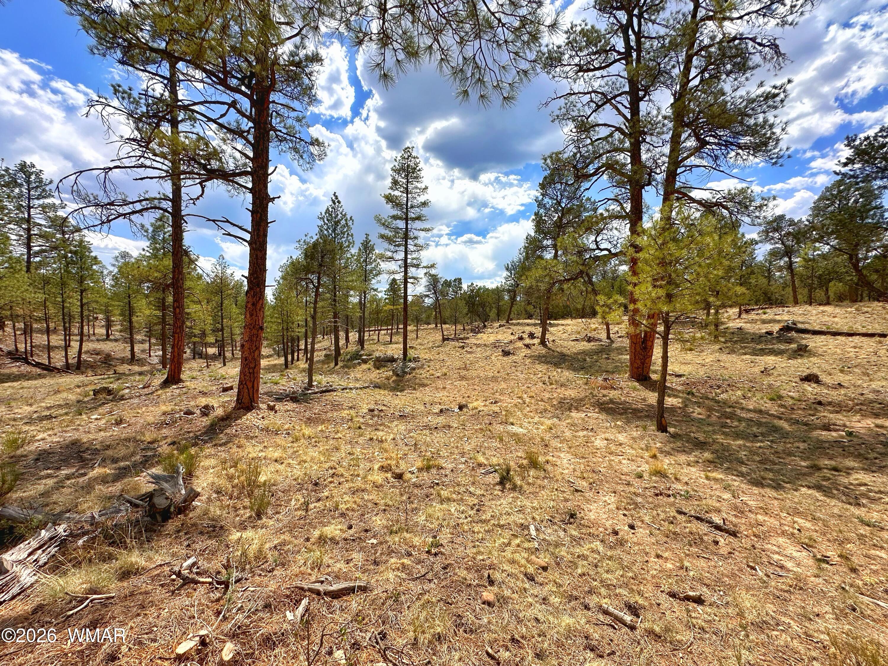 007 H Chevelon Road Heber, AZ 85928 - Photo 2 of 12