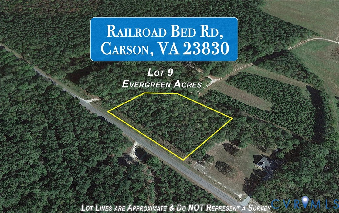Lot 9 Railroad Bed Road Carson, VA 23830 - Photo 2 of 2