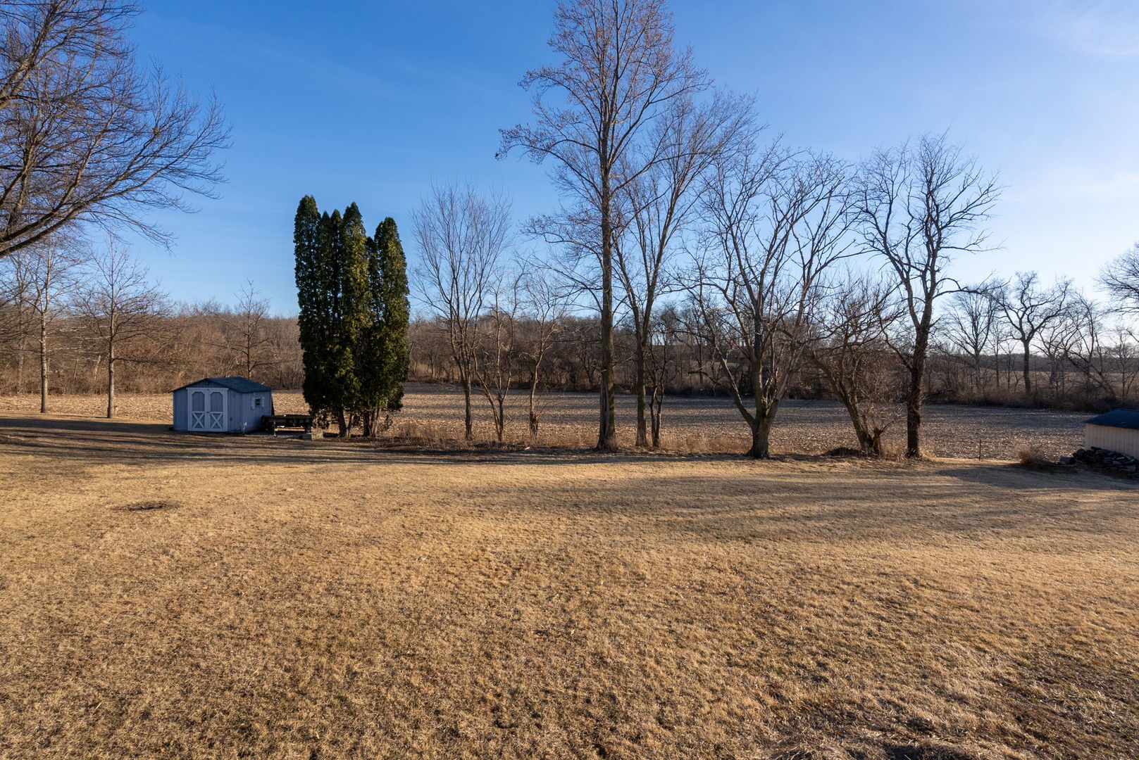 712 Fairfield Road Port Byron, IL 61275 - Photo 33 of 45 a view of a field with trees