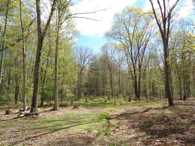 508 Rowland Road Greeley, PA 18425 - Photo 8 of 33 Trail Area