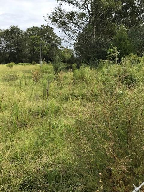 0 Macedonia Ch Road Columbia, AL 36319 - Photo 1 of 1