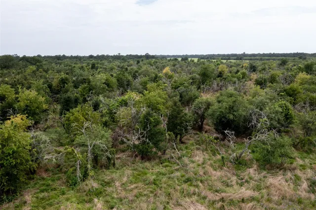 a view of a field of grass and trees