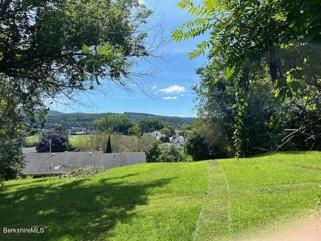 141 Friend Street Adams, MA 01220 - Photo 19 of 32 Mountain Views from Backyard
