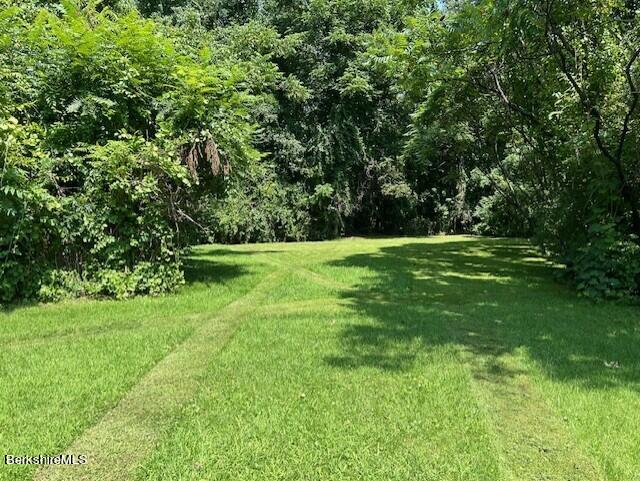 141 Friend Street Adams, MA 01220 - Photo 29 of 32 Backyard