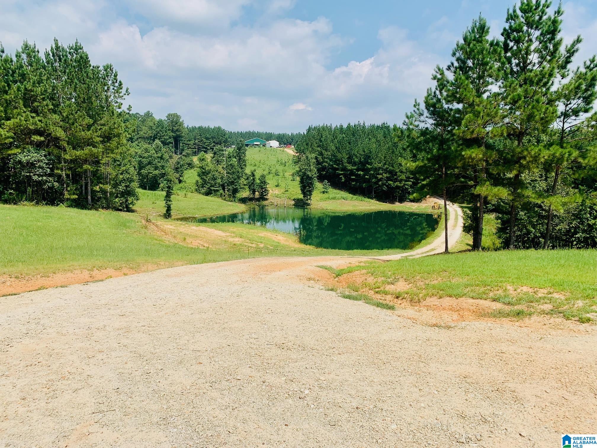 516 County Road 482 Heflin, AL 36264 - Photo 2 of 39