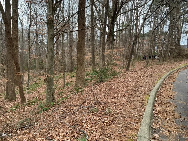 a view of house with a yard