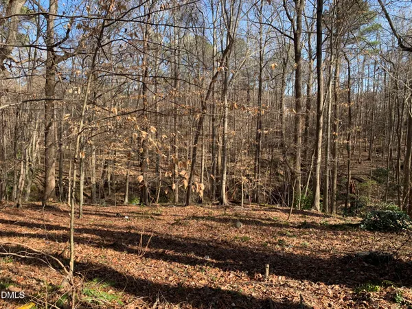 $49,500 | 0 Washington And Smith Street, Clayton, NC 27520